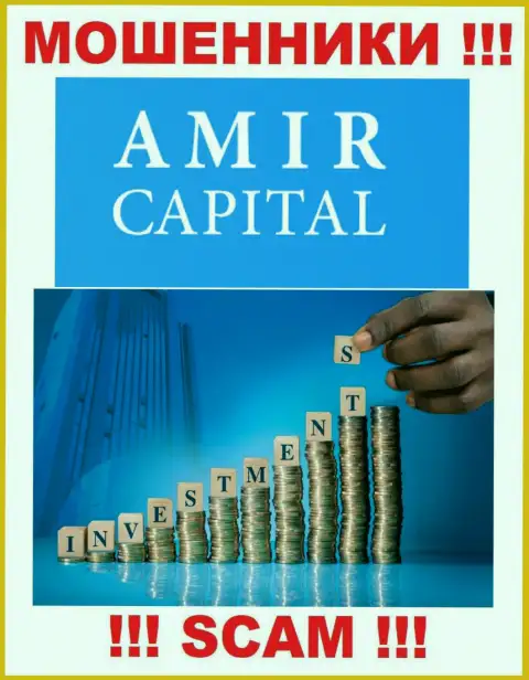 Не вводите финансовые средства в Amir Capital Group OU, направление деятельности которых - Инвестиции