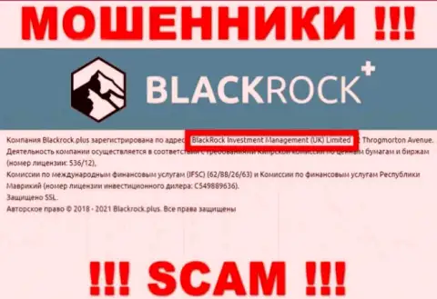 Руководством BlackRockPlus является организация - BlackRock Investment Management (UK) Ltd