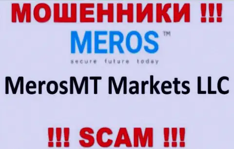Организация, управляющая лохотронщиками MerosMT Markets LLC - это MerosMT Markets LLC