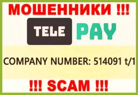 Регистрационный номер ТелеПэй, который представлен мошенниками на их ресурсе: 514091 t/1