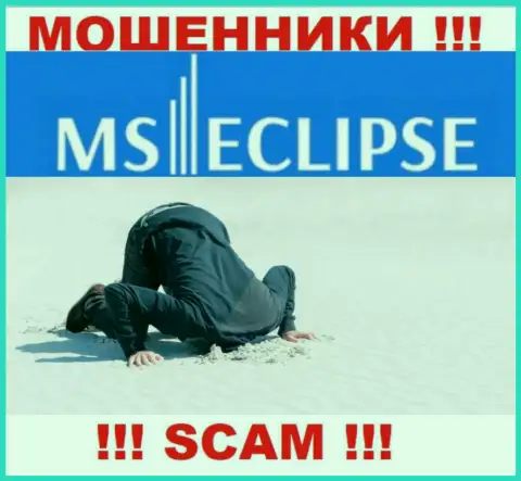 С MSEclipse очень рискованно совместно работать, потому что у организации нет лицензии и регулятора