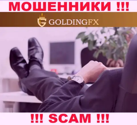 Ни имен, ни фото тех, кто руководит организацией Goldingfx InvestLIMITED в инете не найти