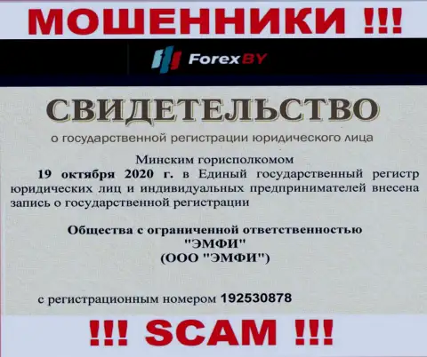 Регистрационный номер мошеннической организации Forex BY - 192530878
