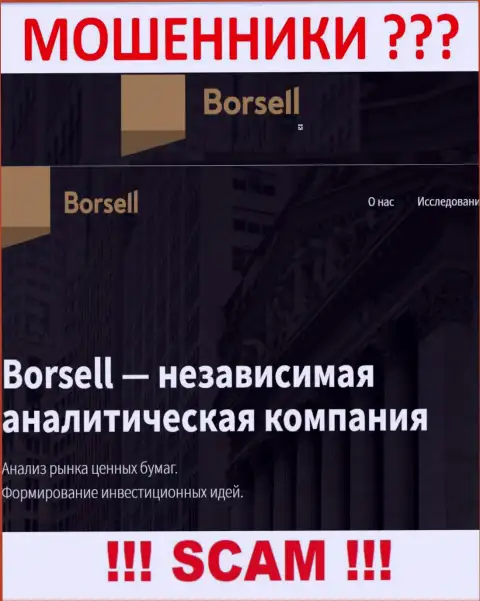 Что касается области деятельности Borsell (Аналитика) - это явно лохотрон