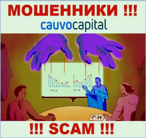 Весьма опасно соглашаться работать с интернет-шулерами КаувоКапитал, крадут финансовые средства