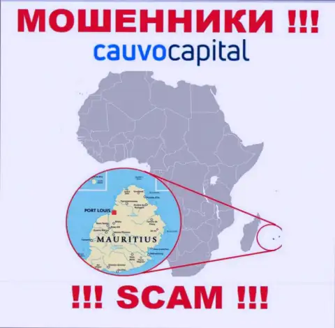 Организация Cauvo Capital сливает вложенные деньги лохов, расположившись в офшоре - Mauritius