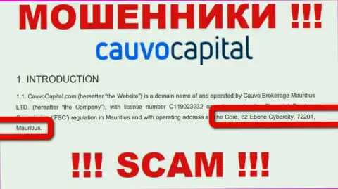 Нереально забрать денежные вложения у организации CauvoCapital Com - они пустили корни в офшорной зоне по адресу: The Core, 62 Ebene Cybercity, 72201, Mauritius