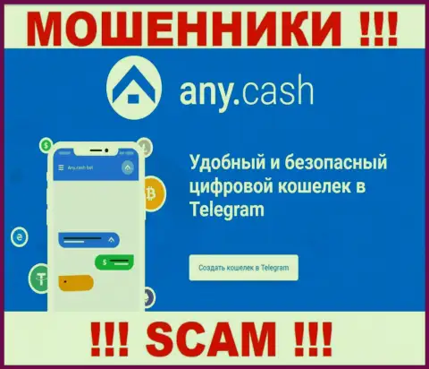 Any Cash - это интернет разводилы, их деятельность - Криптовалютный кошелек, нацелена на отжатие вложенных денег доверчивых клиентов