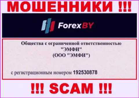 На сайте обманщиков ForexBY Com показан этот номер регистрации указанной компании: 192530878